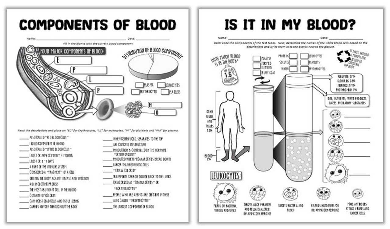 The wonderful world of blood worksheet