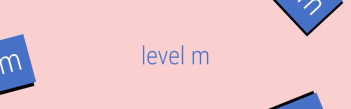 Level m reading plus answers