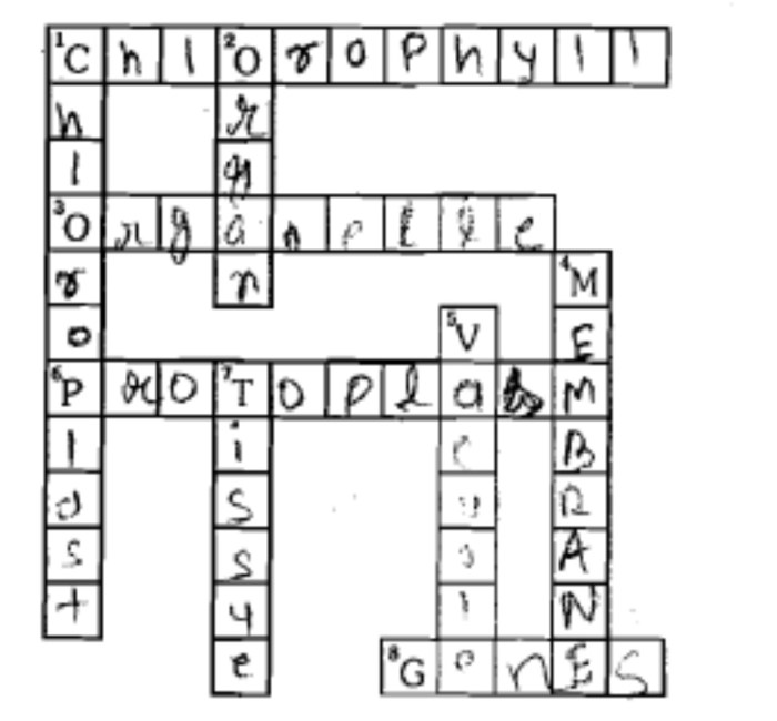 Photosynthesis crossword puzzle answer key pdf