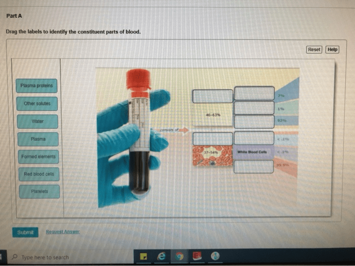 Drag the labels to identify the constituent parts of blood