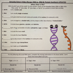 Amoeba sisters video recap dna replication worksheet answers