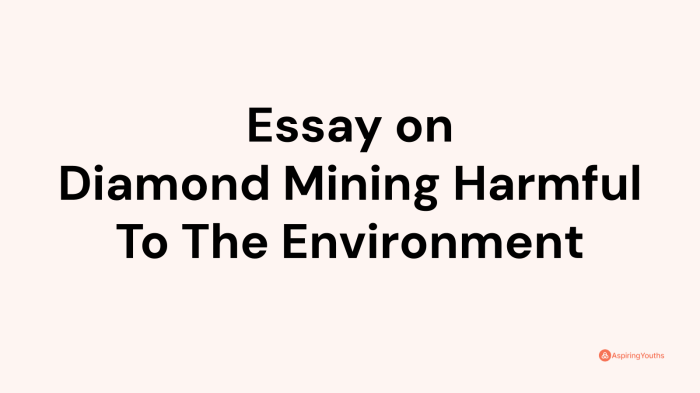 Diamond mining harmful to the environment essay