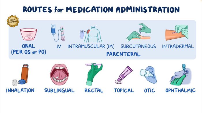 Oral and topical medication administration posttest